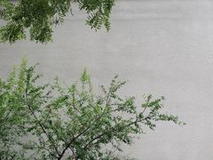 -嵩祝寺及智珠寺
