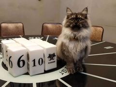 -谜遇探案馆