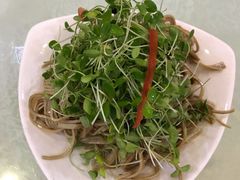 香椿苗拌豆腐丝-正阳春鸭子楼(汉沽店)