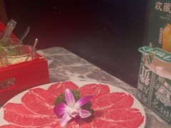 -禄婶鸡煲·打边炉