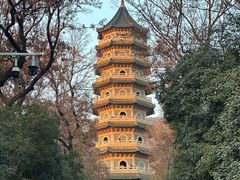 -灵谷景区