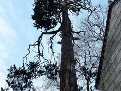 -终南山南五台景区