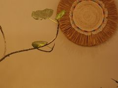 -Fruiffee Cafe 果啡派