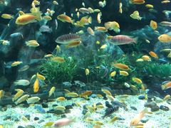 -福州罗源湾海洋世界旅游区