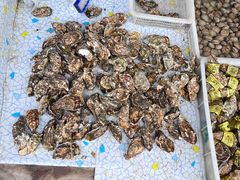 -东戴河风景区-止锚湾