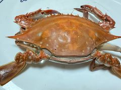 -宾朋海鲜特色美食餐厅·纯手工鲅鱼水饺(兴海路店)