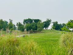 -白鹭湾湿地公园