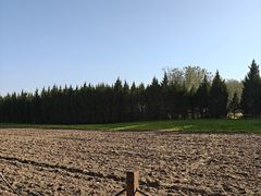 -汉长安城未央宫国家考古遗址公园