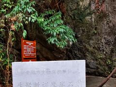 -花溪公园