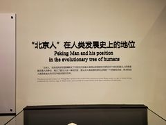 -北京周口店北京人遗址博物馆