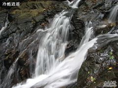 -莫里热带雨林景区