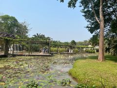 -中国科学院西双版纳热带植物园