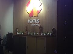 -ventus spa 沙巴亚庇正宗精油按摩会所