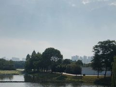 -洋湖国家湿地公园