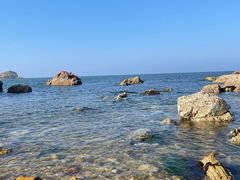 -养马岛旅游度假区