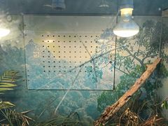 -上海昆虫博物馆