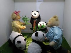 -成都泰迪熊博物馆