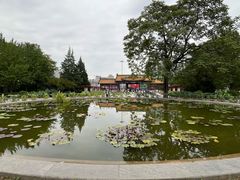-莲花池公园