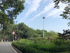 -东莞植物园
