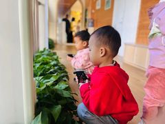 -金点蒙氏国际教育(悠然校区)