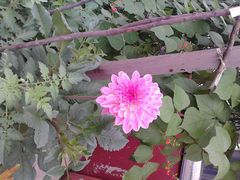 -奥斯卡国际影城(杜比全景声&4D激光店)