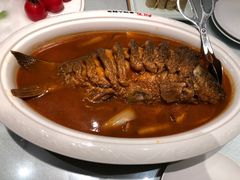 -阿五黄河大鲤鱼(英协路店)