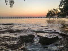 -宝安西湾红树林湿地公园