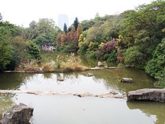 -云溪植物园