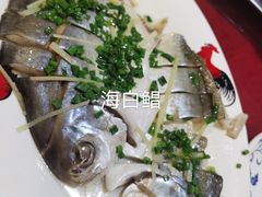 -伟记牛蹄(道滘店)