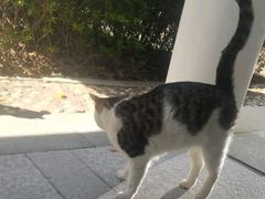 -厦门国家会计学院