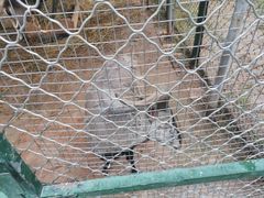 -青藏高原野生动物园