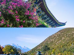 -黑龙潭公园