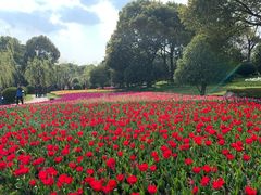 -上海四季花港-停车场