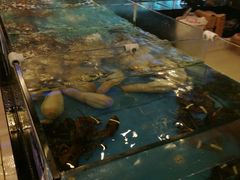 -都市阳光海鲜城(青山湖店)