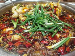 -乡土特色.冷锅鱼.牦牛肉汤锅