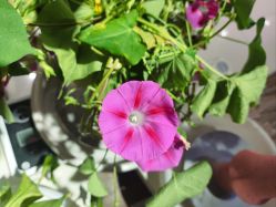 -今日陶艺(富力广场店)