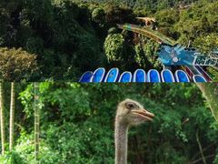 -亚龙湾国际玫瑰谷