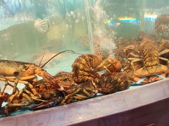 -王庄阿咪海鲜大排档(象园店)