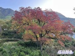 -塔川景区