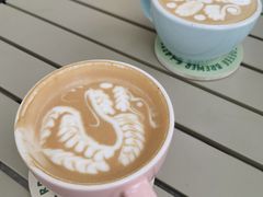 -SAFARI COFFEE