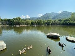 -西安秦岭野生动物园