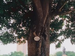-广州中山纪念堂