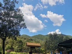 -北京西山国家森林公园