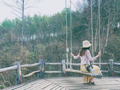 -大树秋千
