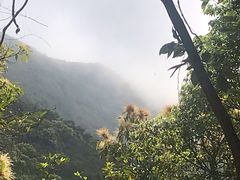 -梧桐山风景名胜区