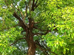 -共青国家森林公园-南大门停车场