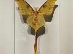 -华南国家植物园-售票处