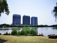 -南翔镇银翔湖公园