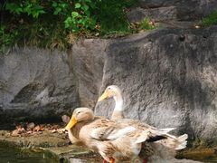 -台州府城(东湖)