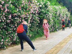 -武汉世茂希尔顿酒店·汇·全日餐厅